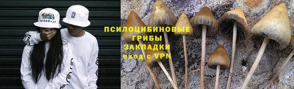 первитин Семикаракорск