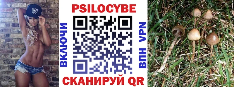 Купить  Нягань  Псилоцибиновые грибы Magic Shrooms 