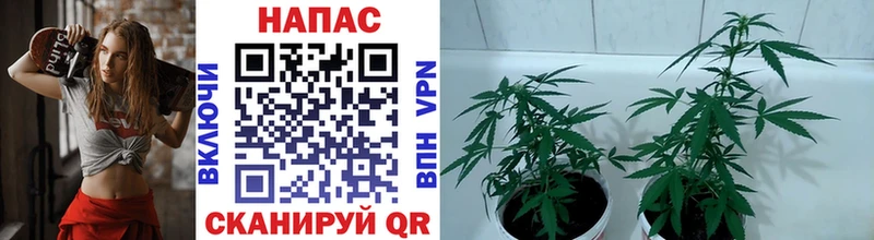 МАРИХУАНА индика  Купить где  Нягань 